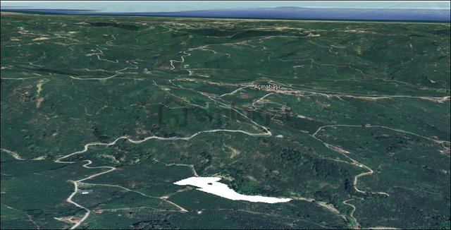 Kocaali 36500 M2 Fındık Bahçesi Kacmaz Fırsat
