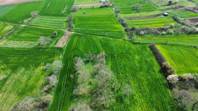 Tuğra'dan Yukarısevindikli De Tak Tapu Bağ Yeri 5