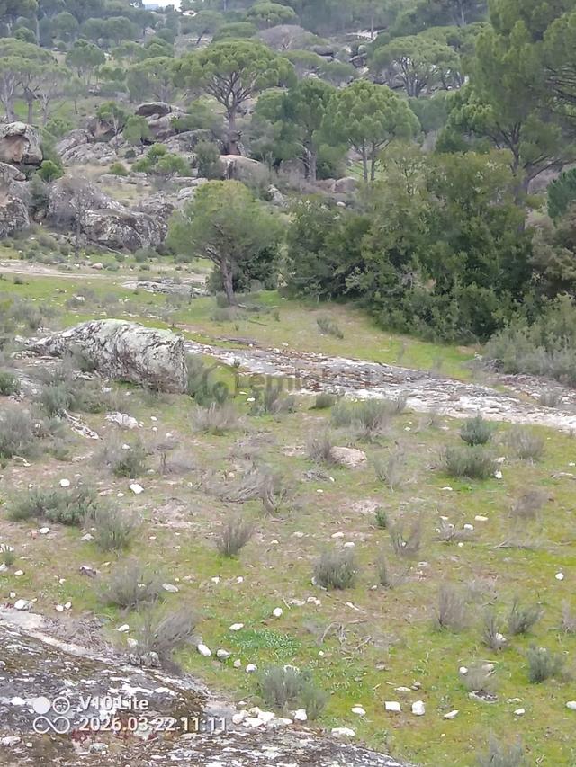 Final Emlak'tan Koçarlıi Kullarköyü'nde 36 Dönüm Tarla 5