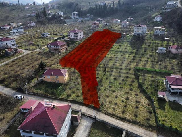 Trabzonda Düz Fırsat Arazi 4