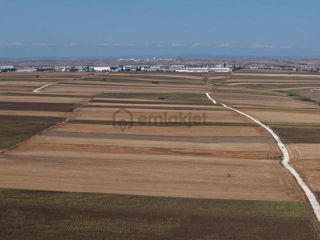 Tekirdağ Ergene Sağlık Arazi 13.000m2 Tek Tapu Tarla 2