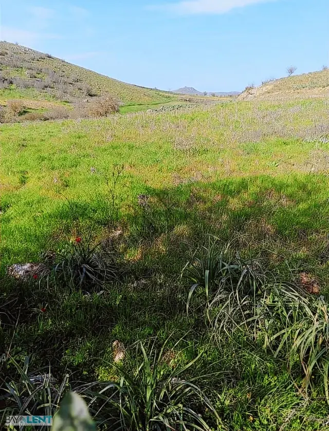 Altıeylül Merkez Akarsu Köyünde Satılık Tarla İçinde Su Yol Var 4