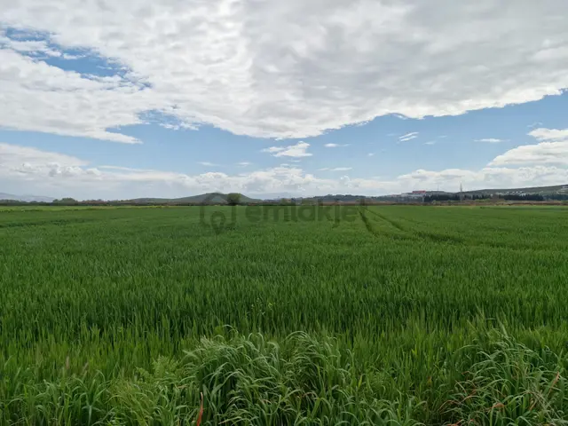 Foça Gerenköyde Kaçırılmayacak Yatırımlık Arsa Fırsatı! 3