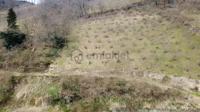 Trabzon'da Satılık Arazi 3