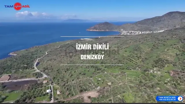 Denizköy'de Denize Yakın Konumda Yatırımlık Zeytinli Tarla 2