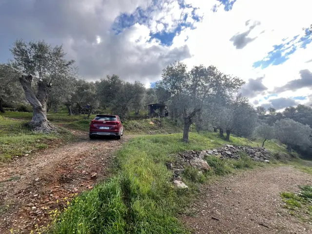 Seferihisar Gödence Satılık 7975 M2 Yatırımlık Bedava Tarla 3