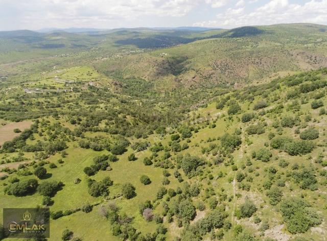 Ayaş Yağmurdede Mah.de Tek Tapu 1.499 M2 Bağ Yeri 4