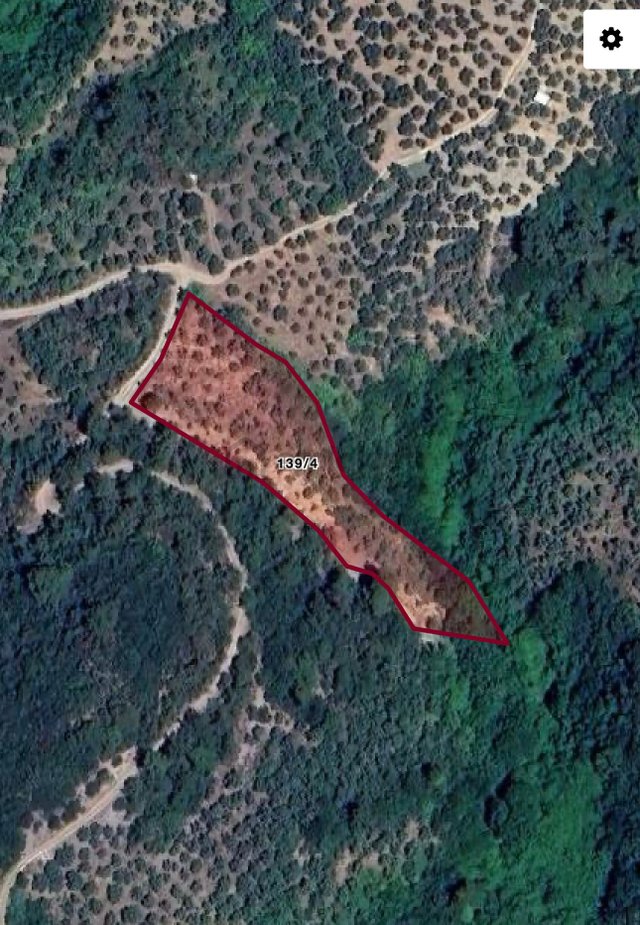 Bursa Mudanya Talatbey De Zeytinlik Bursa Mudanya Talatbey De Zeytinlik