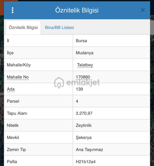 Bursa Mudanya Talatbey De Zeytinlik 2