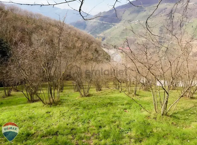 Remax Mavi'den Hendek'te 3044 M2 %40 İmarlı Yola Cepheli Arsa 4