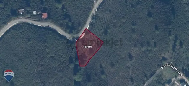 Remax Mavi'den Hendek'te 3044 M2 %40 İmarlı Yola Cepheli Arsa 2