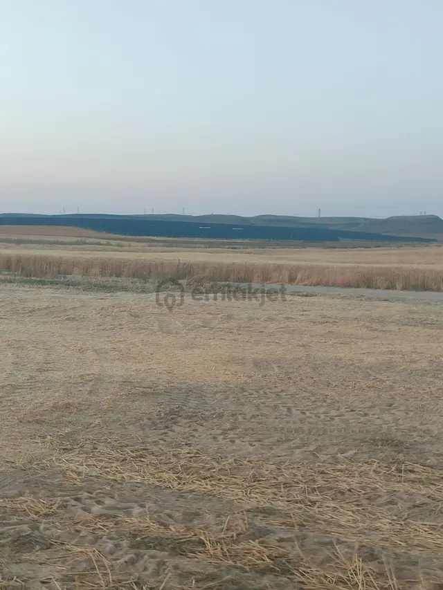New Formdan Buget Köyünde 75 Dönüm Satılık Tarla 4