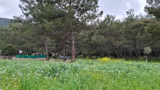 Acil Satılık Güvenlikli Sitede Elektrik Ve Suyu Olan Parsel 5