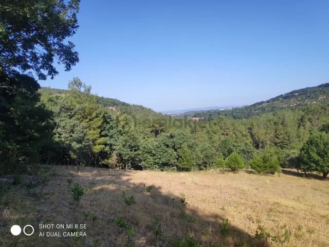 Balıkesir Havran Küçükşapçıda Kelepir 18.603m2 Müstakil Arazi 3