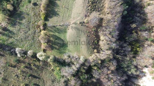 Atakum / Çamlıyazı / 1668 M2 Tarla / Murat Çırak 3