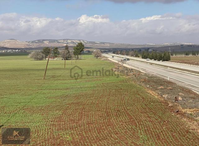 Kilis Yolu Üzeri 520m Yola Cephesi Olan 313 Dönüm Satlık Arazi 4