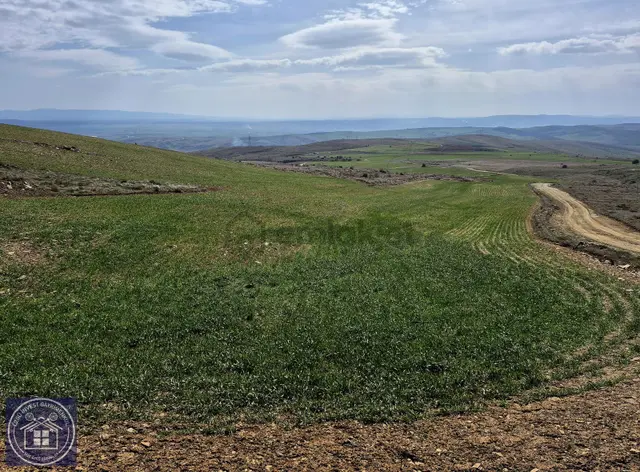 Özgü'den Eskişehir'de Güneş Enerji Santrali Yapımına Uygun Tarla 1