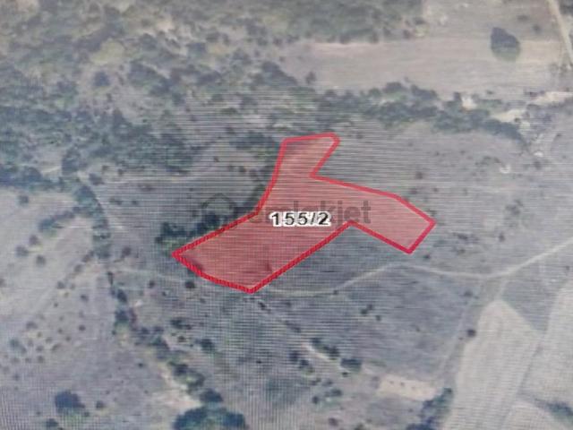 Bilecik Yenipazar Kuşça Köyü Satılık Takaslı 6707 M² Arazi 5