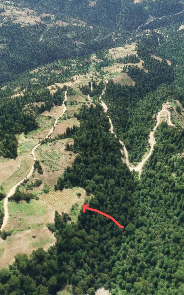 Sakarya Geyve'de 7.600 M2 Fırsat Arazi 3
