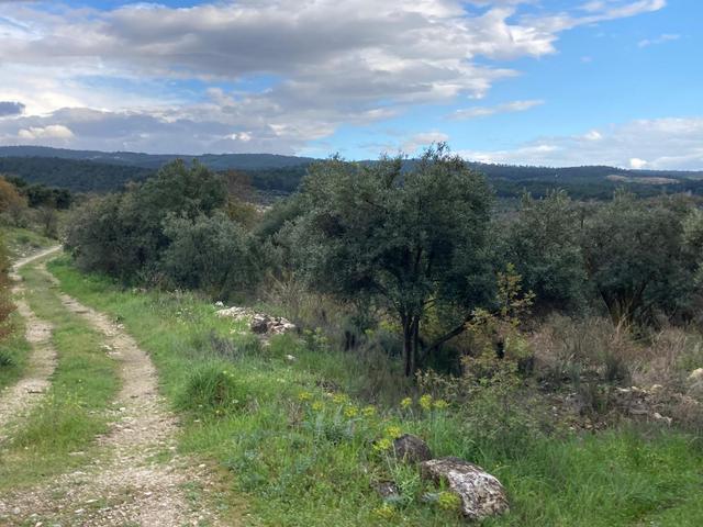 Daire Takaslı Sulu Zeytin Bahçesi 12.500 M2 5