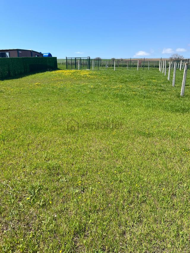 Çatalca Çakıl'da Gelecek Vaat Eden 503 M² Hisseli Arsa 4