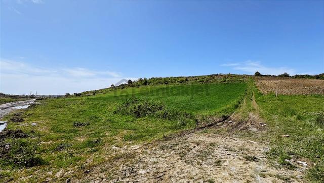 Haraçıda Çevrili 215 M2 2