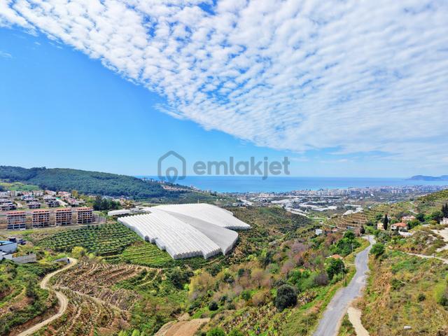 Alanya Kargıcak'da Satılık Arsa Villa Yapılabilir Proje Hazır 5