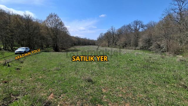 Kocayazıda Orman İçi Yola Cepheli Tektapu Düz Arazi [ 5.019 M2 ] 4