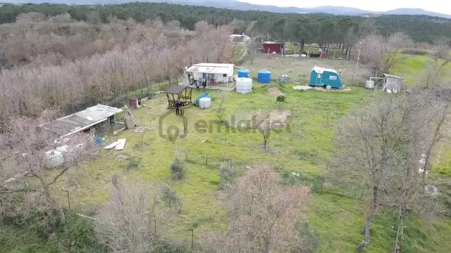 Çanakkale Biga Bahçeli Köyünde 1.115 M2 Bağ 2