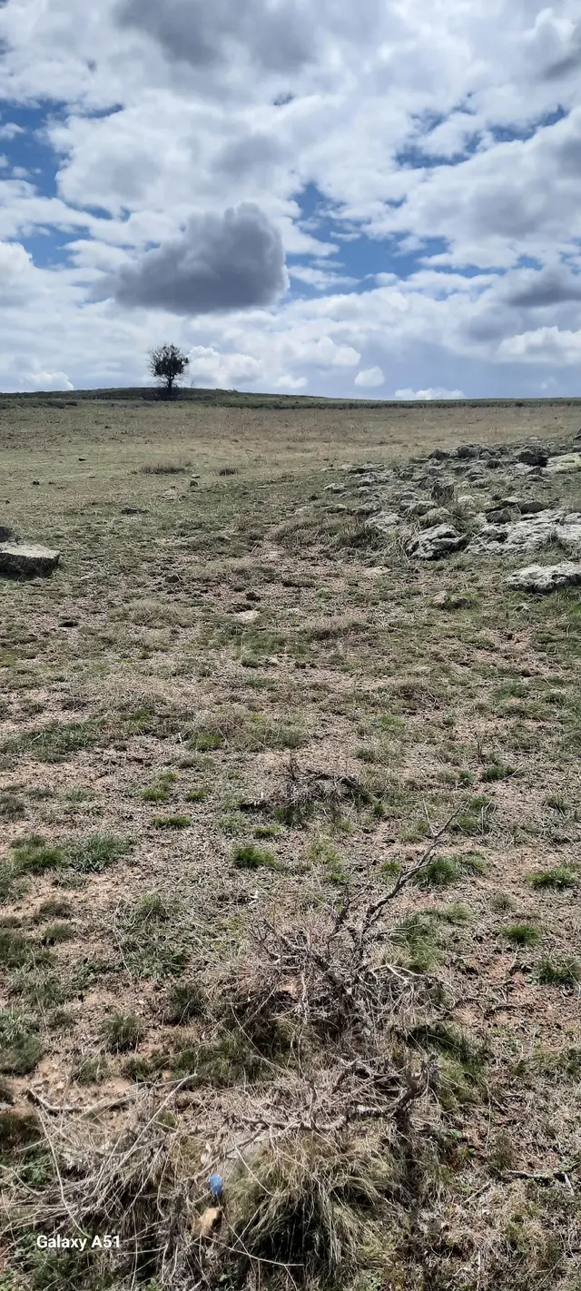 Kocasinan Emmiler 5443 M2 Tek Tapu Satılık Tarla 2