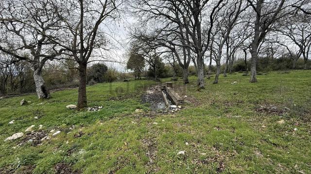 Balıkesir Balya Akbaş'da Doğa Manzaralı Bahçe 5