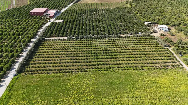 Bolkar Emlaktan Karacailyas'da 13.459 M²satılık Arazi Fırsatı ! 3