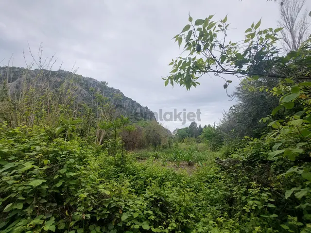 Ortaca Okçular Marmarlı Da 3.000 M2 Müstakil Arazide Köy Evi Satılık 3