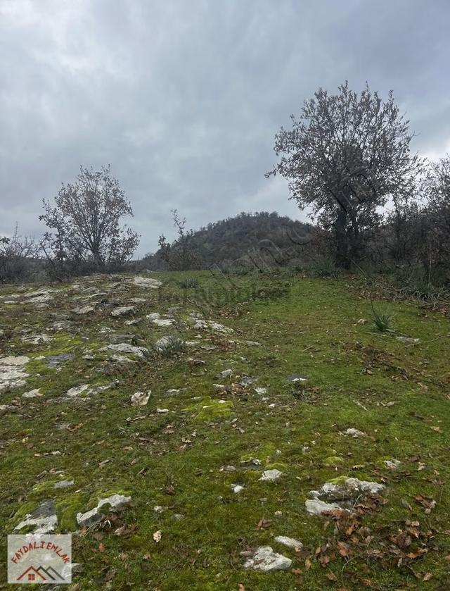 Manisa Köprübaşı Yabacıda 28.500m2 Yatırımlık Tarla 3