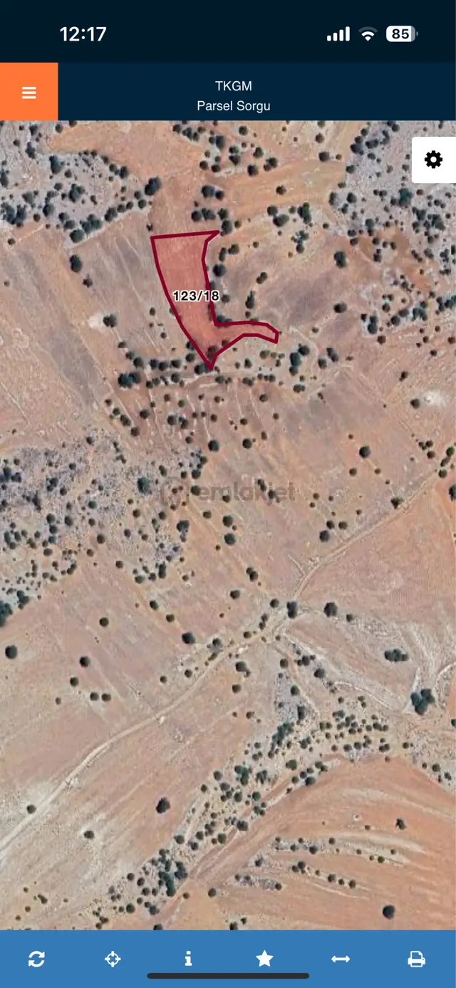 3,936 M2 Tamamı Bu Fiyat Tek Tapu 2