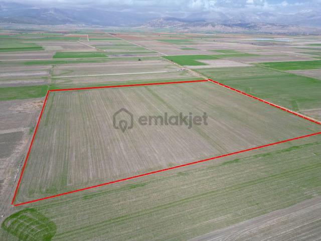 Isparta Bozanönünde 43000m² Dümdüz Sera Yatırımına Uygun Satılık 3