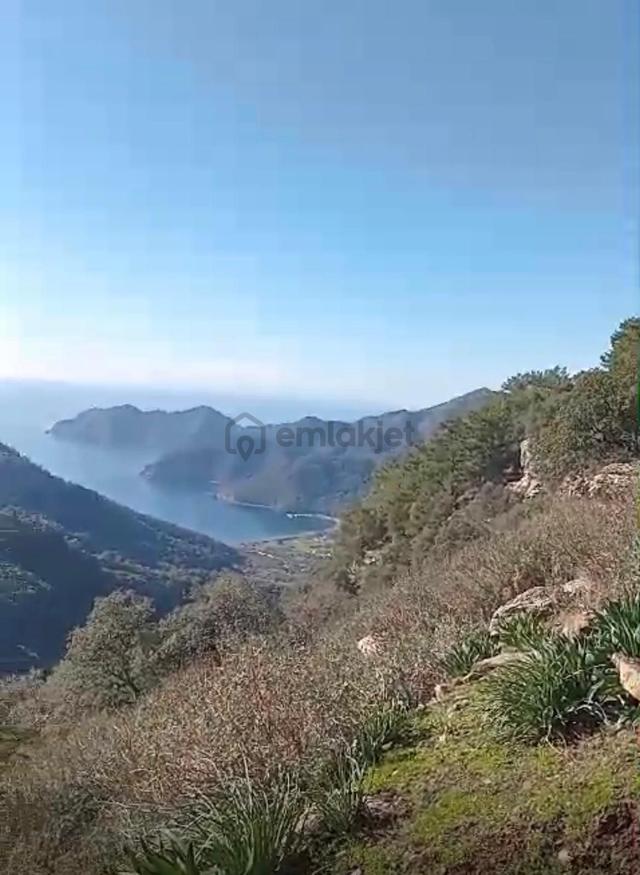 Satılık 2b Arazi – Muğla Köyceğiz Ekincik Mahallesi 5