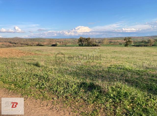 Kırklareli Merkez Karahamza Köyünde Satılık 33800 M2 5