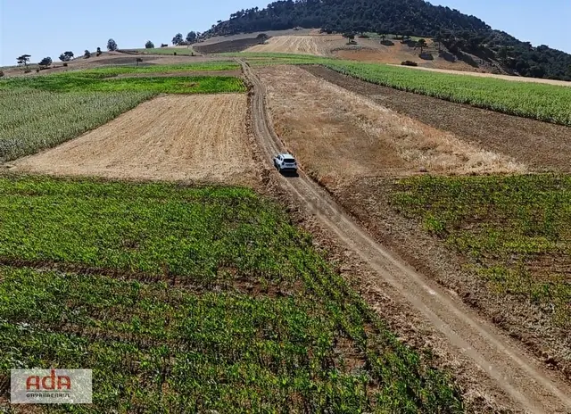 Ada Emlak Karacaören Yol Kenarı Köye Yürüme Mesafesinde 450 M2 4