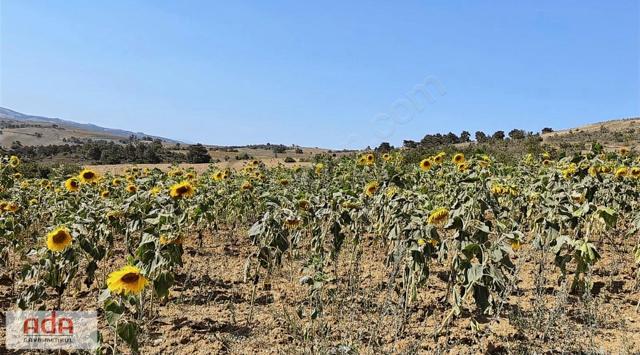 Ada Gayrimenkul Karacaören Mah 1700m2 Manzaralı Satılık 5
