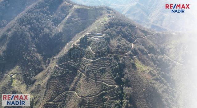 Tirebolu'da Panoramık Denız Manzaralı 47.642 M² Turizm İmarlı 5