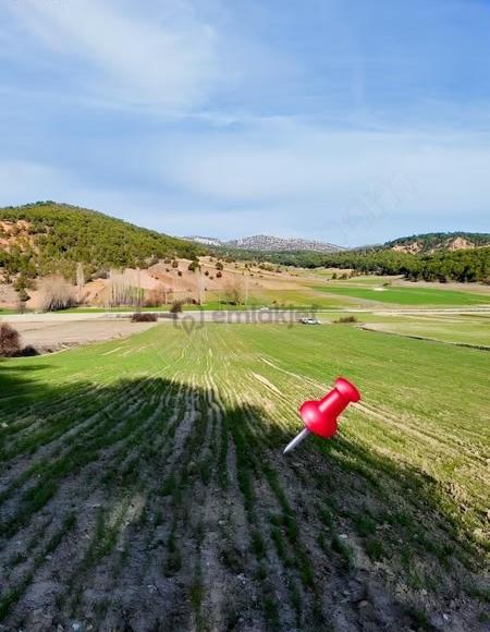 Burdur Merkez Bereket Köyü'nde 8.085 M² Satılık Tarla 5