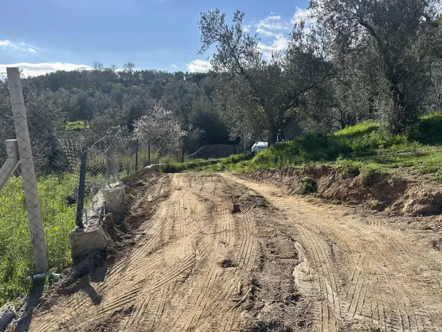 Kavuşturan Emlak'tan Güre Çamlıbel'de Deniz Manzaralı Zeytinlik 2