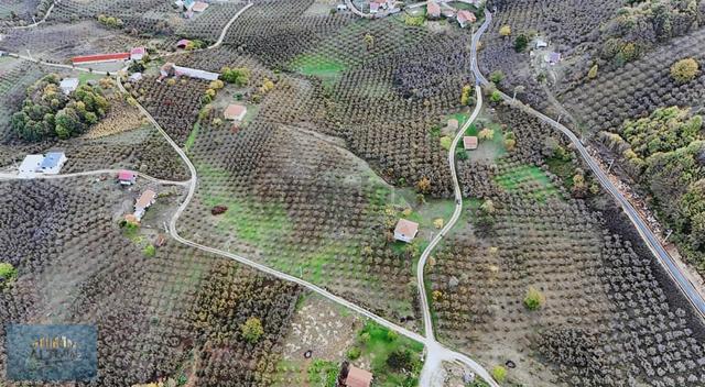 Akyazı Yörükyeri İmarlı Ev Fındıklık Arsa 4