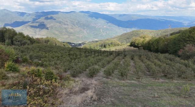 Acil Satılık 1640 Metrekare Arsa - İhlas Kaplıcalarına Yakın ! 4