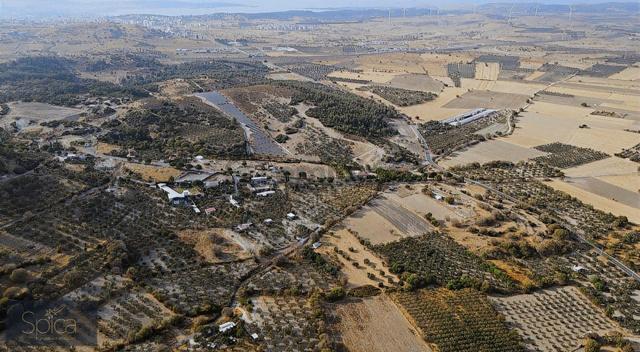 İzmir Aliağa Güzelhisar Satılık Zeytinlik 3