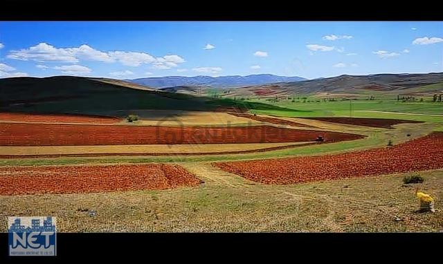 Yatırımlık Tarla 5