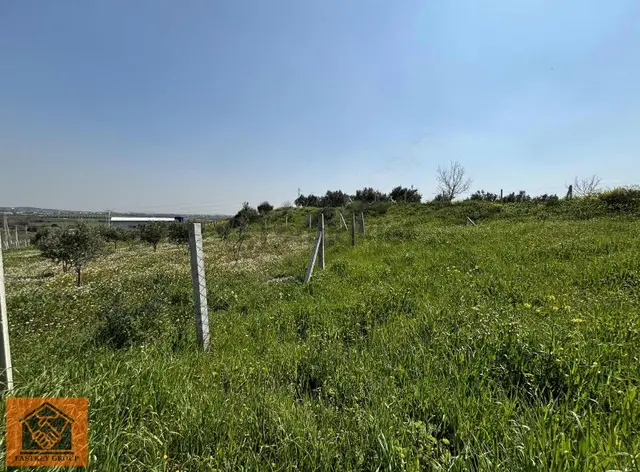 Oğlananası'nda Satılık 398 M2 Hisse Tapulu Tarla Araç Takaslı 3