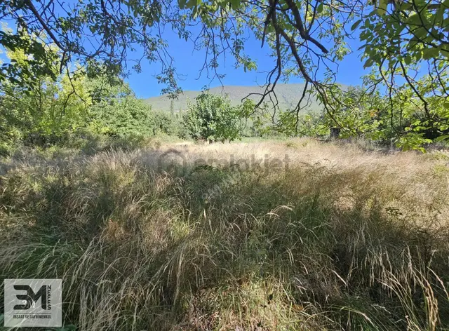 Geyve Karacaören 363 M² Resmi Yola Cephe Arsa 2
