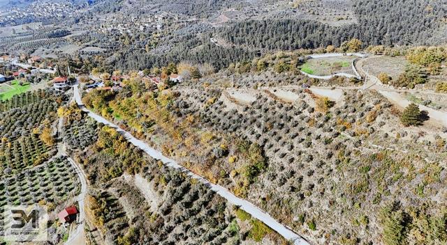Sakarya Geyve Saraçlı 1115 M2 Müstakil %40 İmarlı Arsa 5